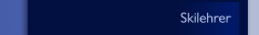 Skilehrer